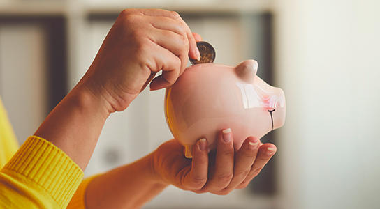 POCO_Ideenwelt_KG_544x300px_iStock_Rostislav_Sedlacek_Budget_06.jpg