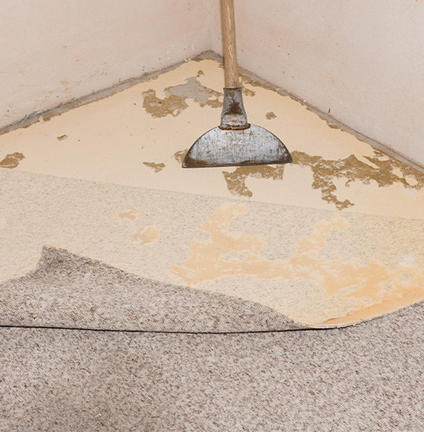 Teppichboden entfernen So geht