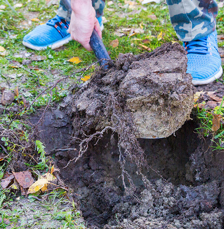 Garten begradigen Tipps für die Gartenarbeit POCO