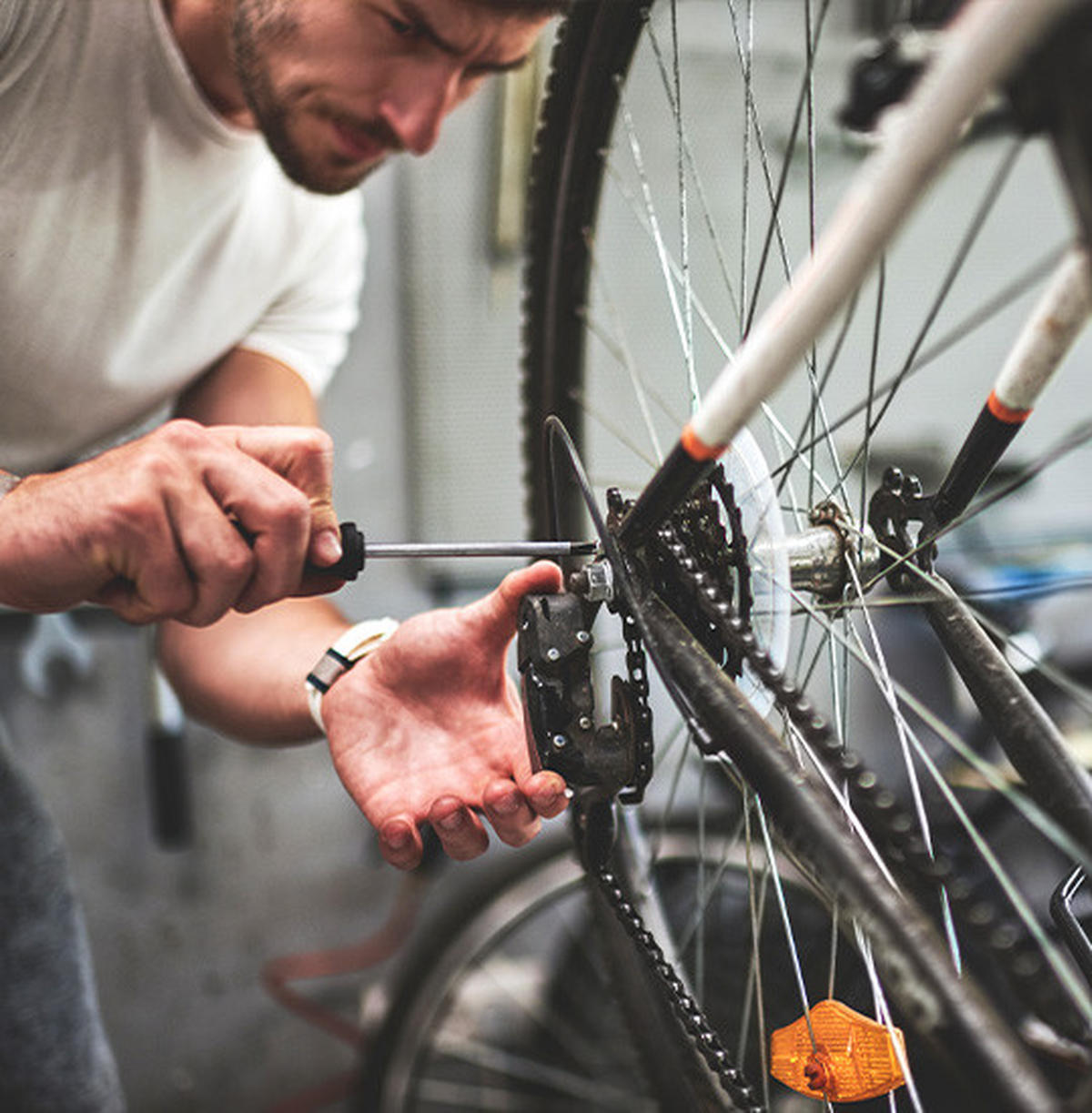 Fahrradkette Reinigen, wechseln & reparieren POCO