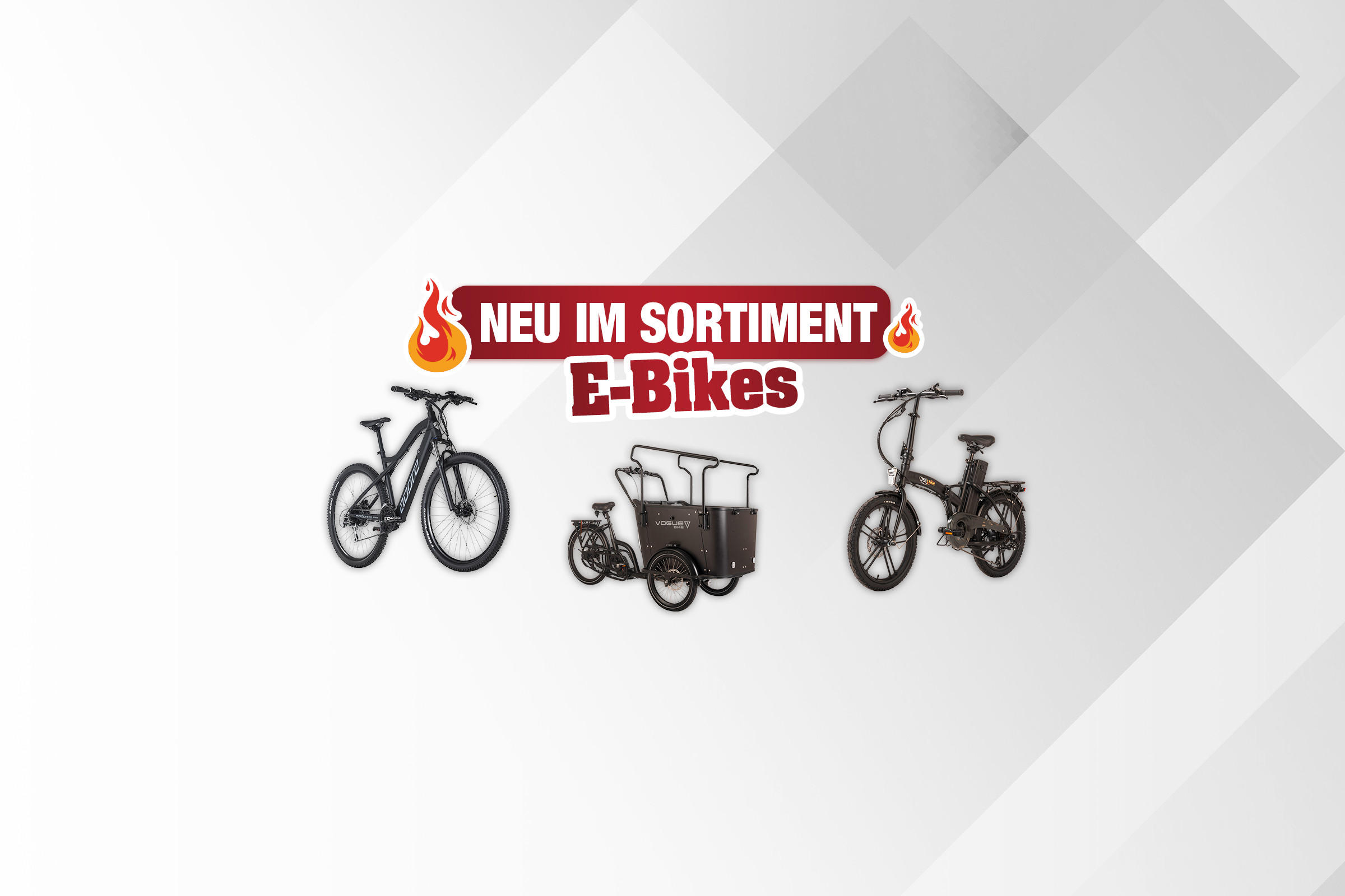 top1-sondergrafik-48-2023-Neu-im-Sortiment-E-Bikes.jpg
