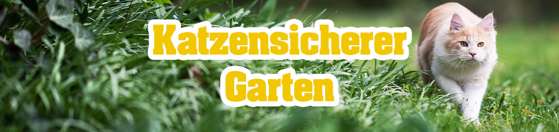 Garten katzensicher machen Worauf achten? POCO