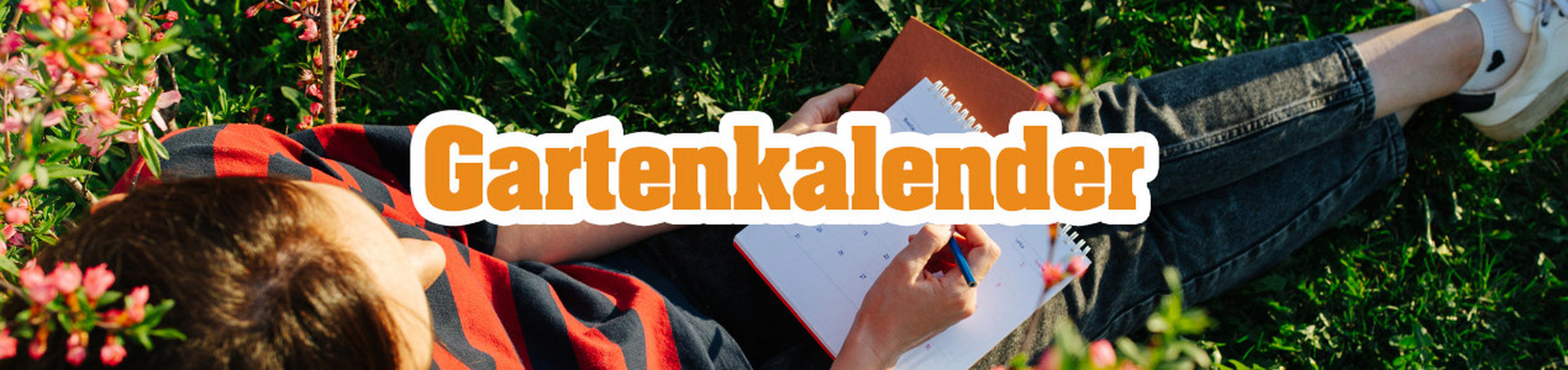 Gartenarbeiten im Kalender Was ist wann zu tun? POCO