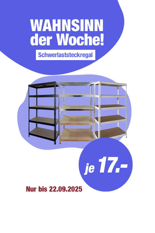 WdW-KW38/25-Schwerlastregale