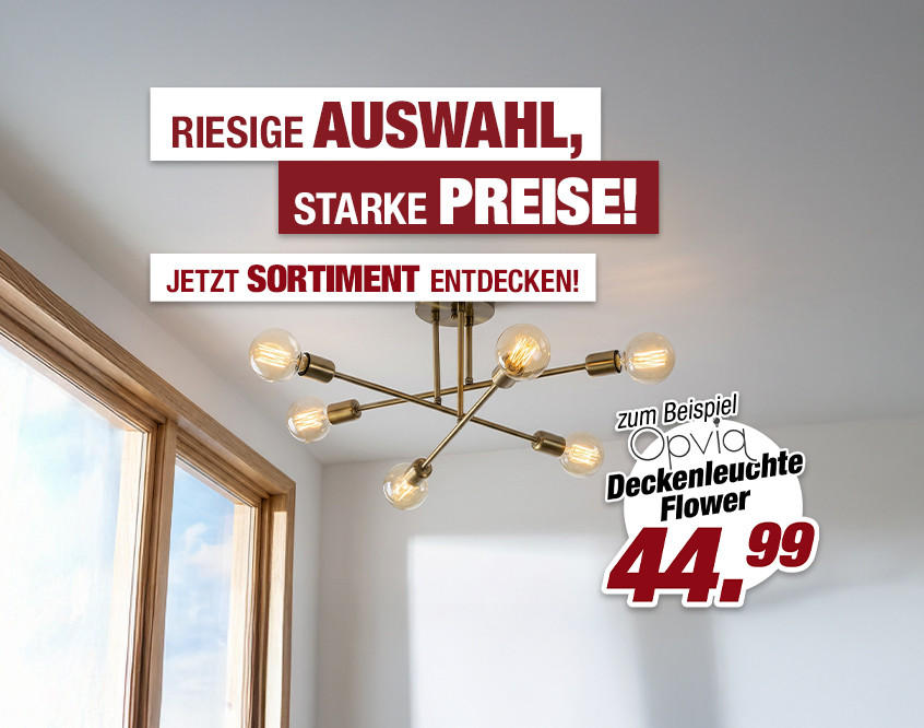 asir-abverkauf-teil-2-"lampen-1"-kw-50.jpg