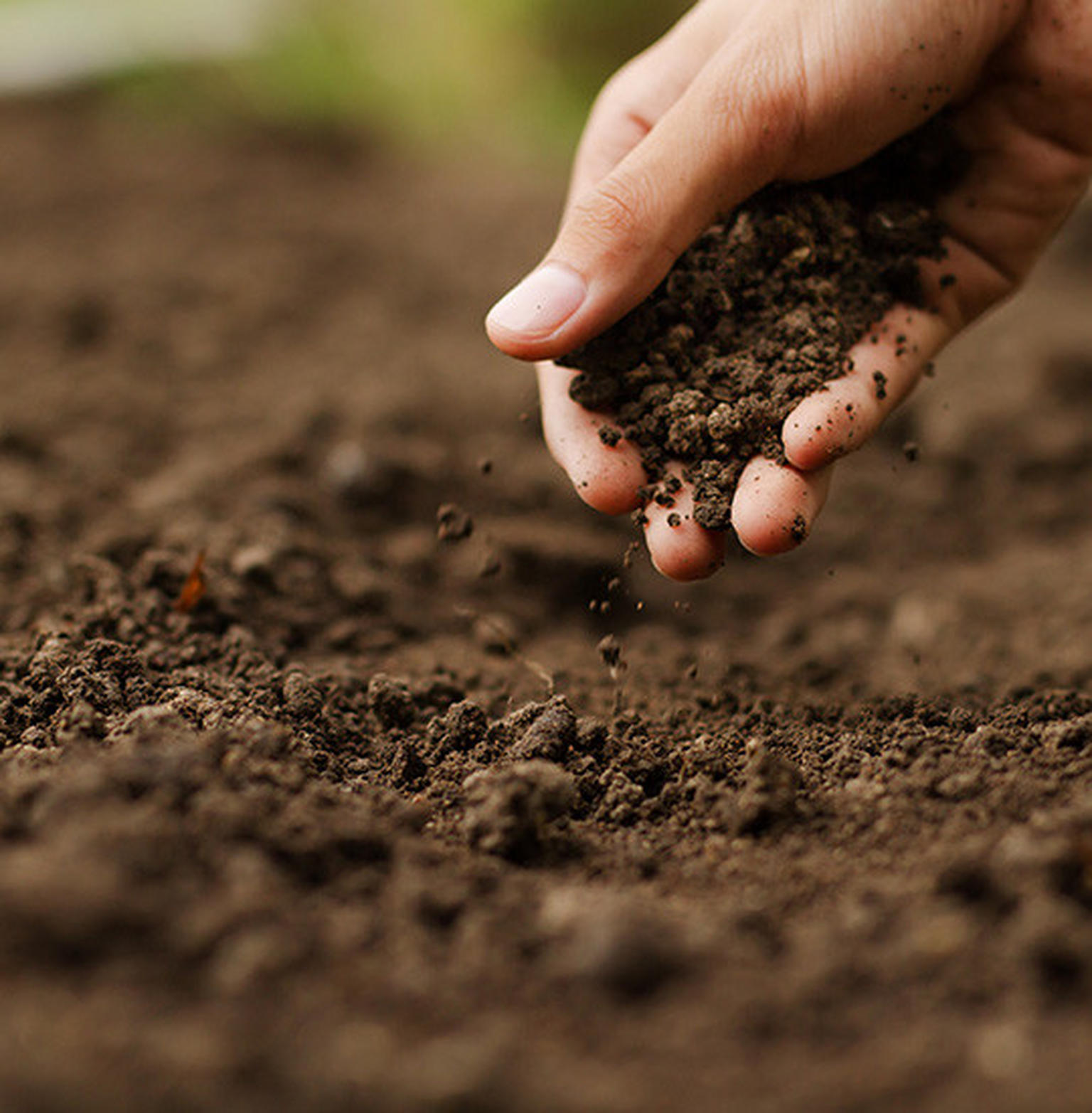 Garten umgraben Wann und mit welchen Geräten? POCO