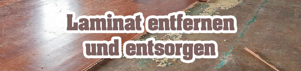 Laminat entfernen und entsorgen: Tipps & Tricks | POCO