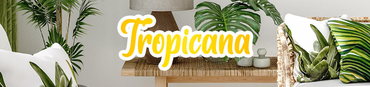 POCO_KG_Tropicana_neuerShop_1270x300px_10_iStock_Artjafara.jpg