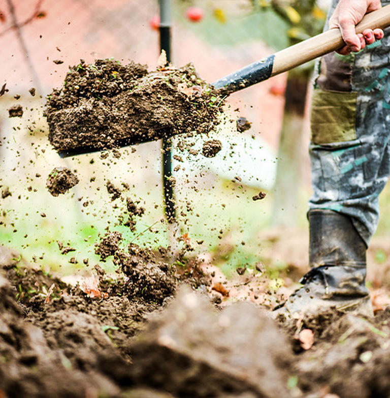 Garten umgraben Wann und mit welchen Geräten? POCO