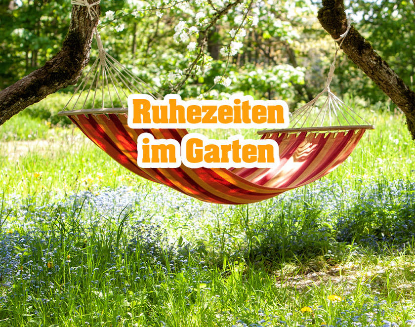 Ratgeber Gartenarbeit Pflege & Gestaltung POCO