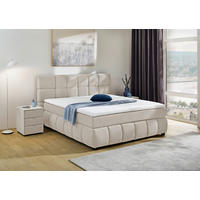 Boxspringbett  grau beige Flachgewebe Liegefläche B/L: ca. 180x200 cm Cindy_Boxspringbett 352/27 - beige/grau (205,00/117,00/222,00cm)