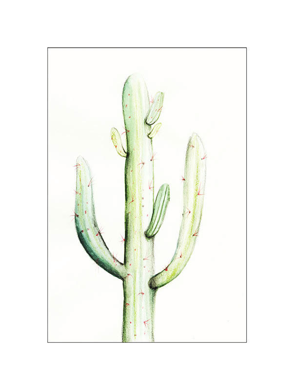 Komar Wandbild Saguaro Watercolor Pflanzen B/L: ca. 30x40 cm