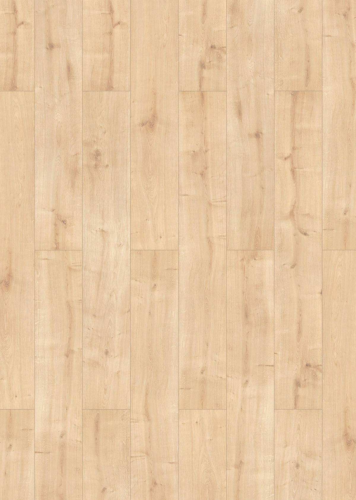 Laminatboden Eiche hell ca. 2,245 m² im Paket  B/L: ca. 19,4x128,6 cm pro Paket Eiche hell ca. 2,245 m² im Paket - natur (19,40/128,60cm)