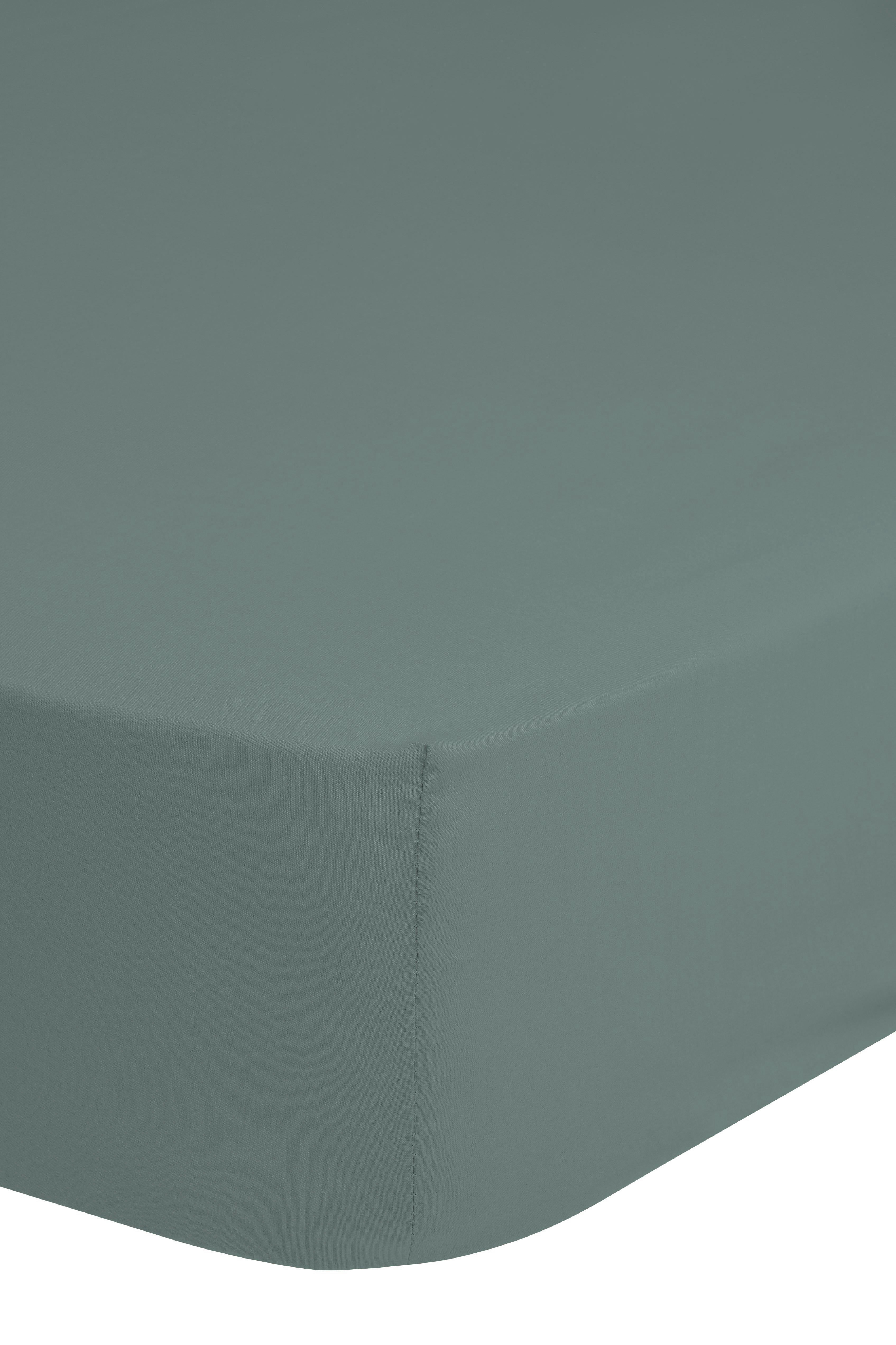 Jersey Spannbetttuch Spannbetttuch-Jersey 200x220cm - grün (200,00/220,00cm) - Good Morning