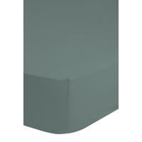 Jersey Spannbetttuch Spannbetttuch-Jersey 200x220cm - grün (200,00/220,00cm) - Good Morning