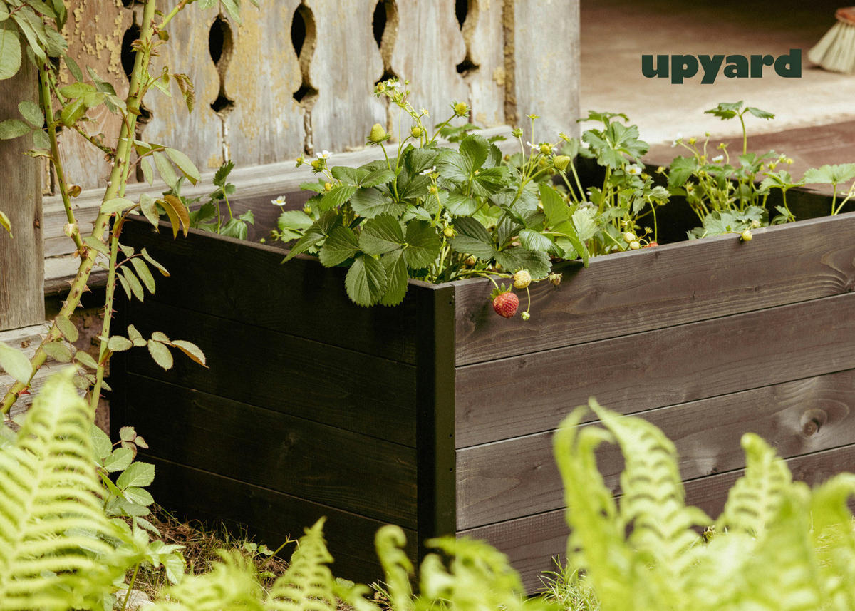 UPYARD Hochbeet MODERN schwarz Holz B/H/L: ca. 60x40x80 cm MODERN - schwarz (80,00/60,00/40,00cm) - UPYARD