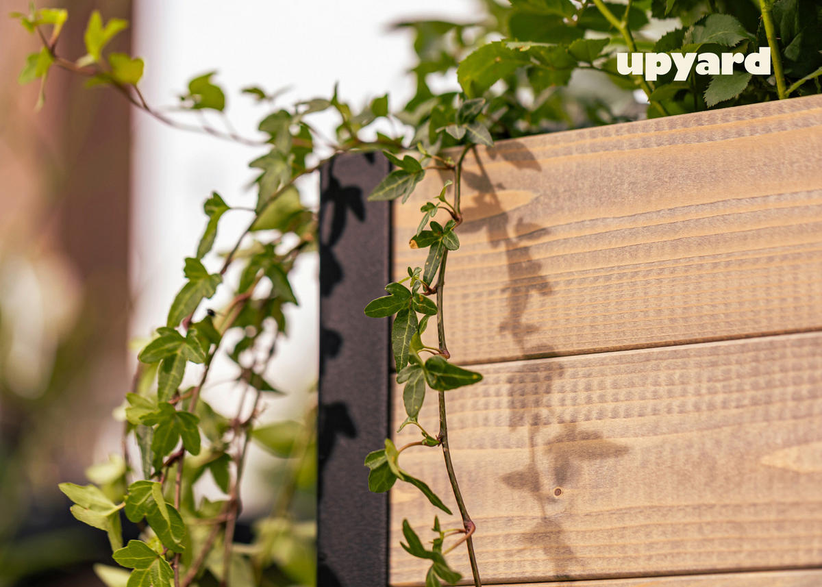 UPYARD Hochbeet MODERN grau Holz B/H/L: ca. 36x32x36 cm MODERN - grau (36,00/36,00/32,00cm) - UPYARD