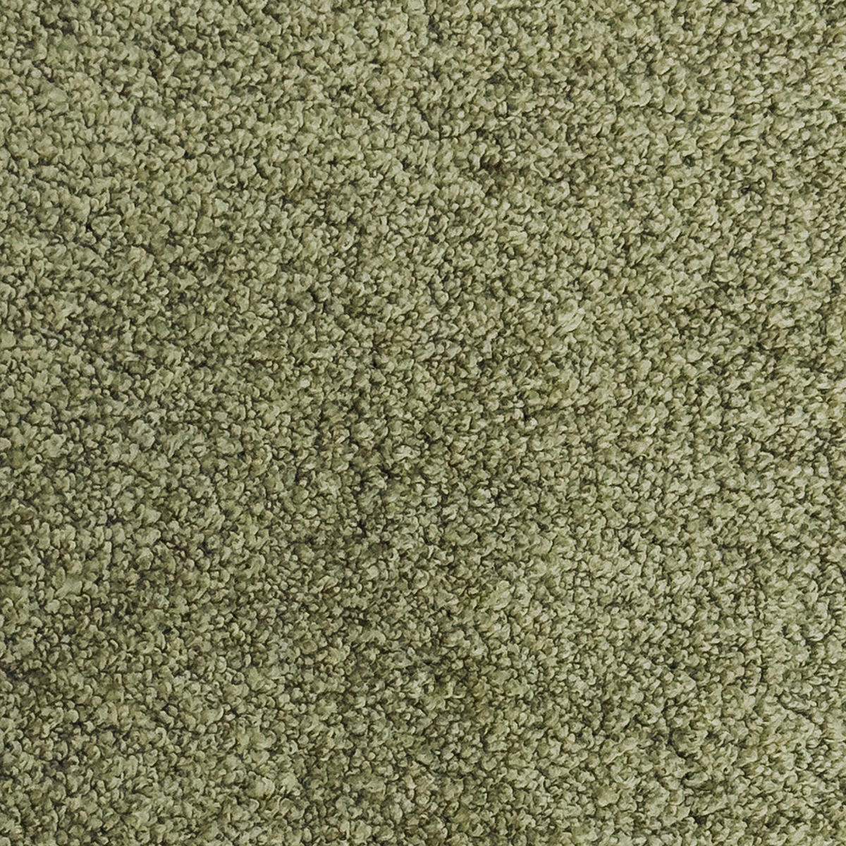 Fußmatte Dune grün B/L: ca. 40x60 cm Dune - grün (40,00/60,00cm)