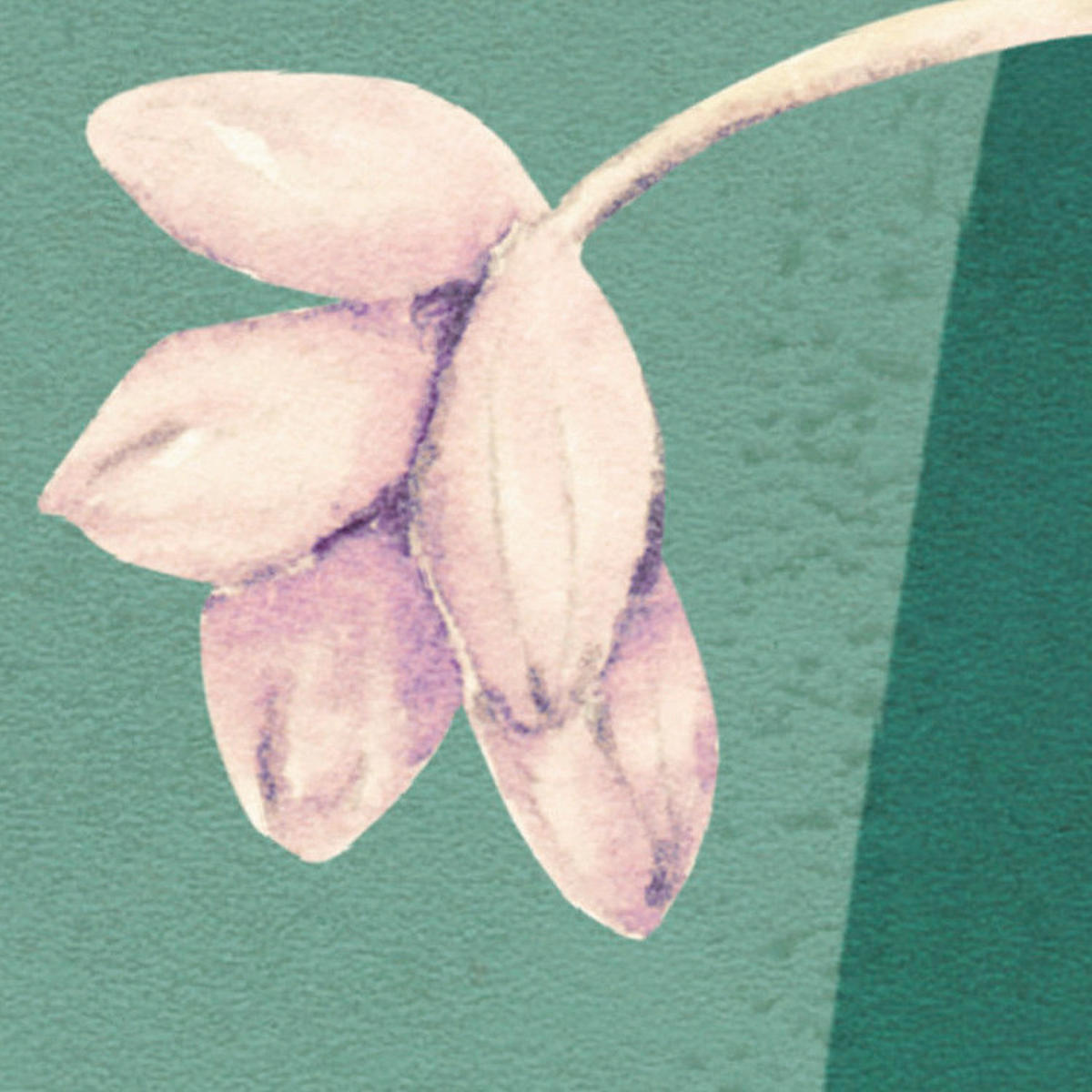 Komar Fototapete The Flower Duet B/L: ca. 400x250 cm The Flower Duet - (400,00/250,00cm) - Komar