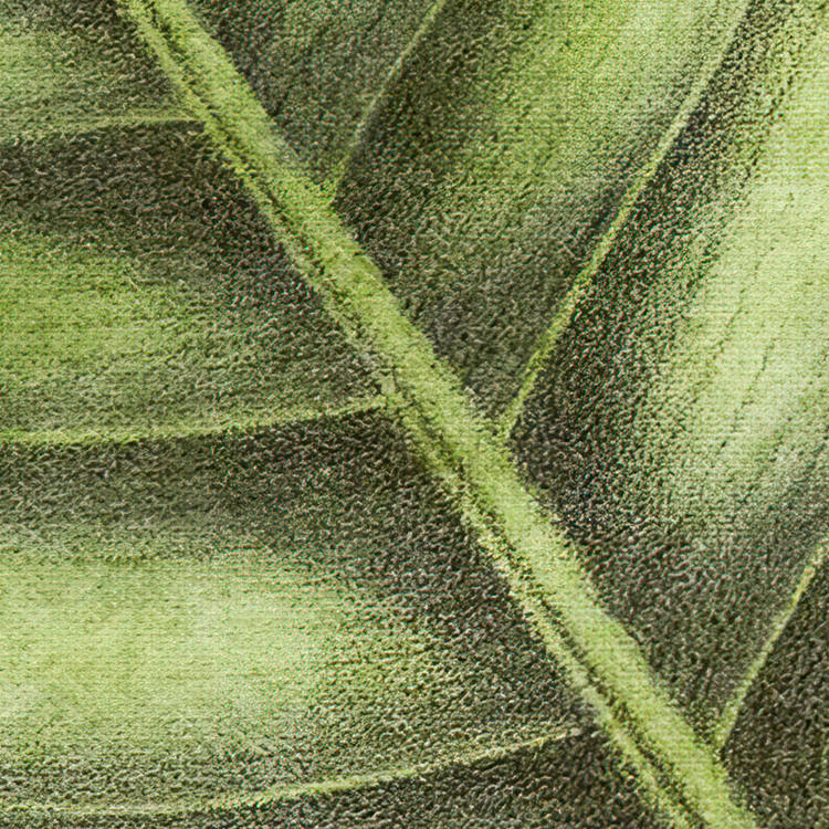 Komar Fototapete Large Bloomed B/L: ca. 200x250 cm Large Bloomed - (200,00/250,00cm) - Komar