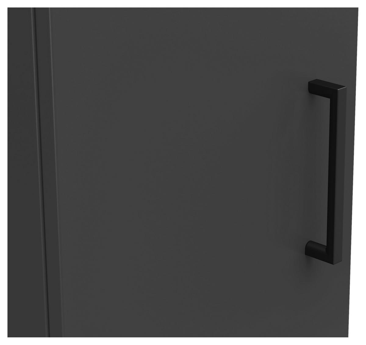 Schrank Multi-Stauraum Typ 8 anthrazit B/H/T: ca. 30x195x40 cm Multi-Stauraum Typ 8 - anthrazit (30,00/195,00/40,00cm)