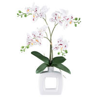 Kunstpflanze Phalaenopsis weiß Kunststoff B/H/L: ca. 16x42x17 cm Phalaenopsis - weiß/rot (17,00/16,00/42,00cm)
