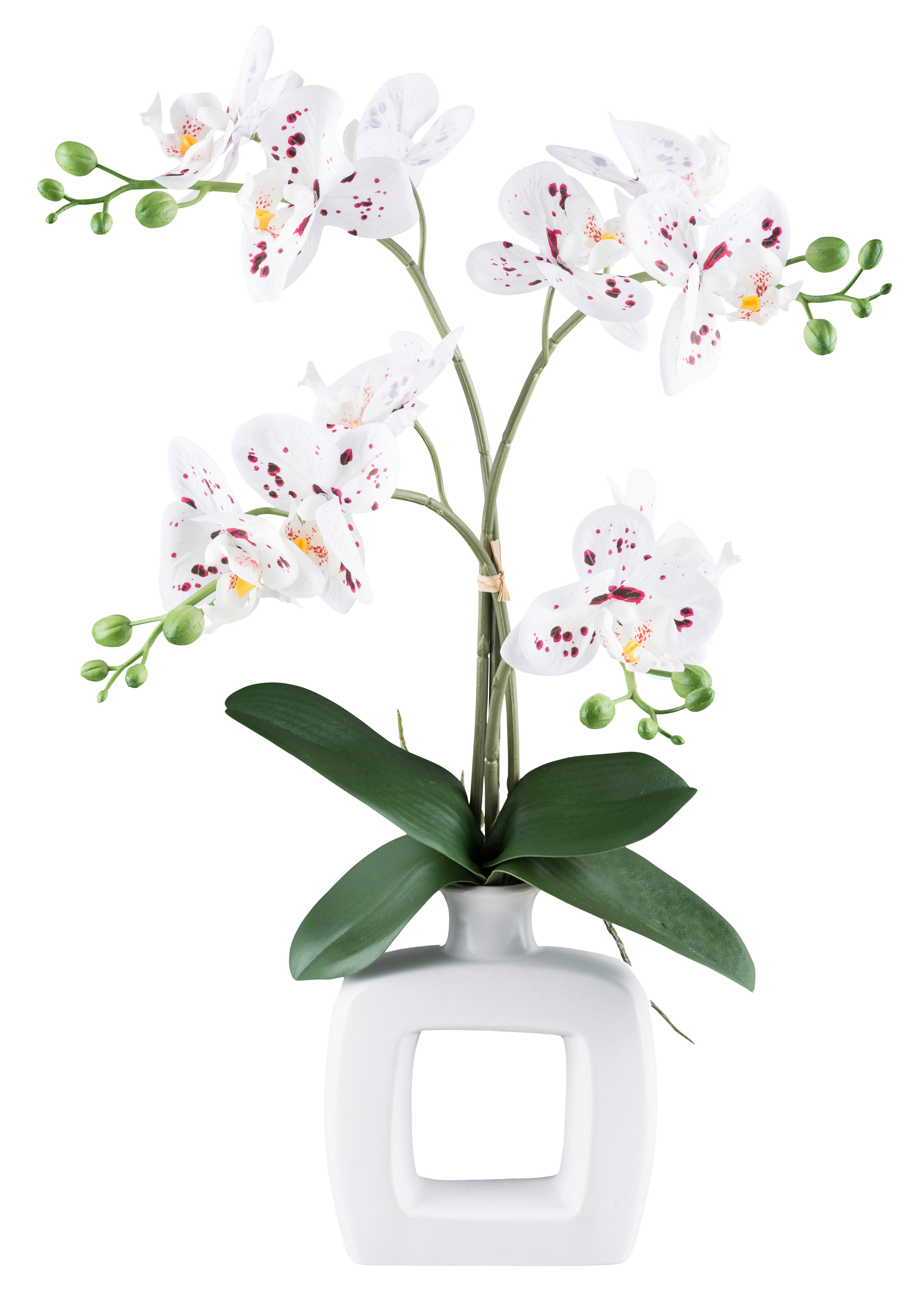 Kunstpflanze Phalaenopsis weiß Kunststoff B/H/L: ca. 16x42x17 cm günstig online kaufen