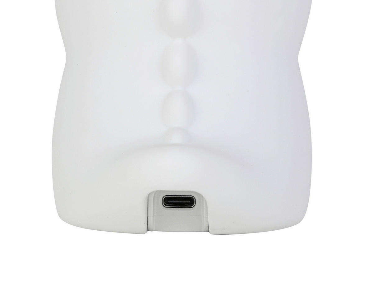 Nolo LED-Dekoleuchte B/H/L: ca. 9x12x11 cm LED-Dekoleuchte_Capybara - (11,00/9,00/12,00cm) - Nolo