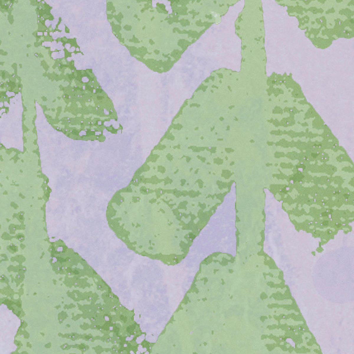 Komar Fototapete Crazy Willow B/L: ca. 350x250 cm Crazy Willow - (350,00/250,00cm) - Komar