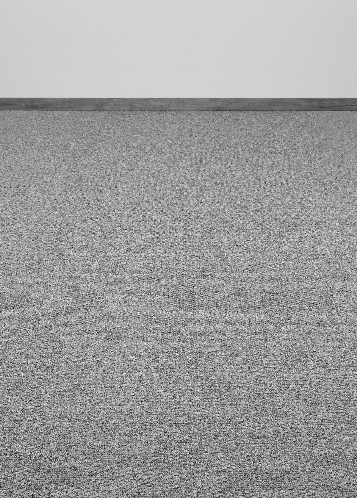 Teppichboden grau B: ca. 400 cm pro m² Teppichboden_Belfast 400cm 77 - grau (400,00cm)