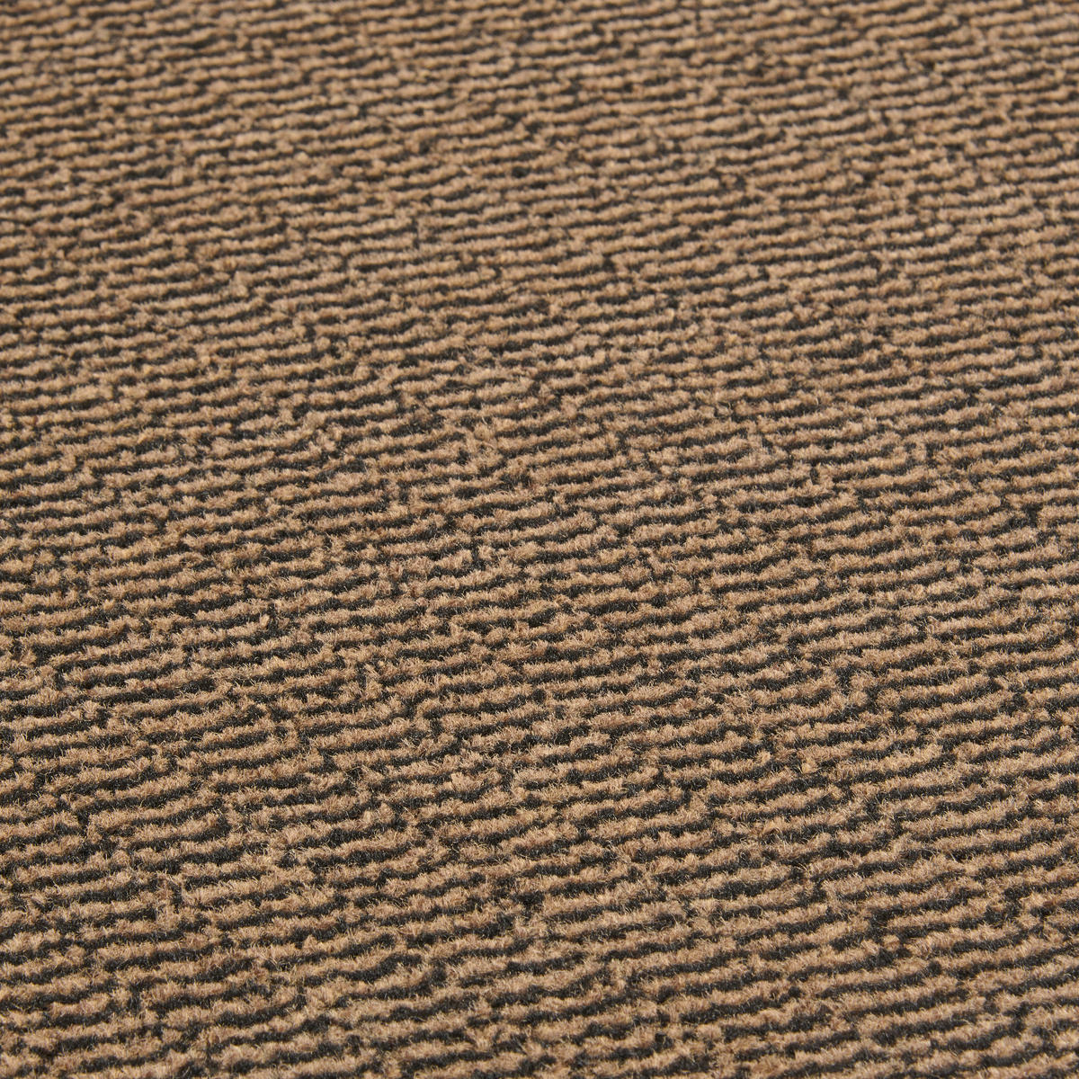 Schmutzfangmatte Spectrum braun B/L: ca. 60x80 cm Spectrum - braun (60,00/80,00cm)