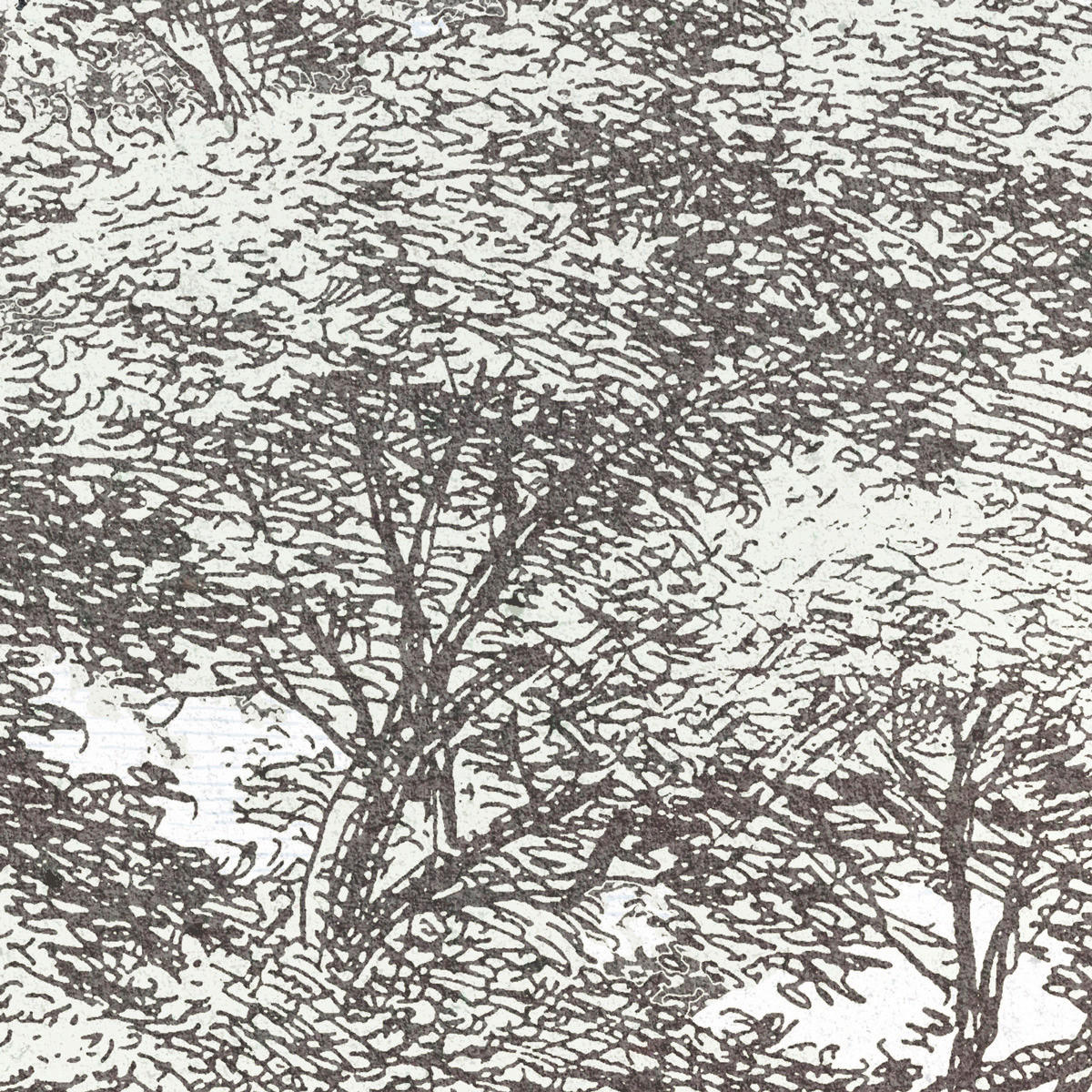 Komar Fototapete Fairytale Forest B/L: ca. 400x280 cm Fairytale Forest - (400,00/280,00cm) - Komar