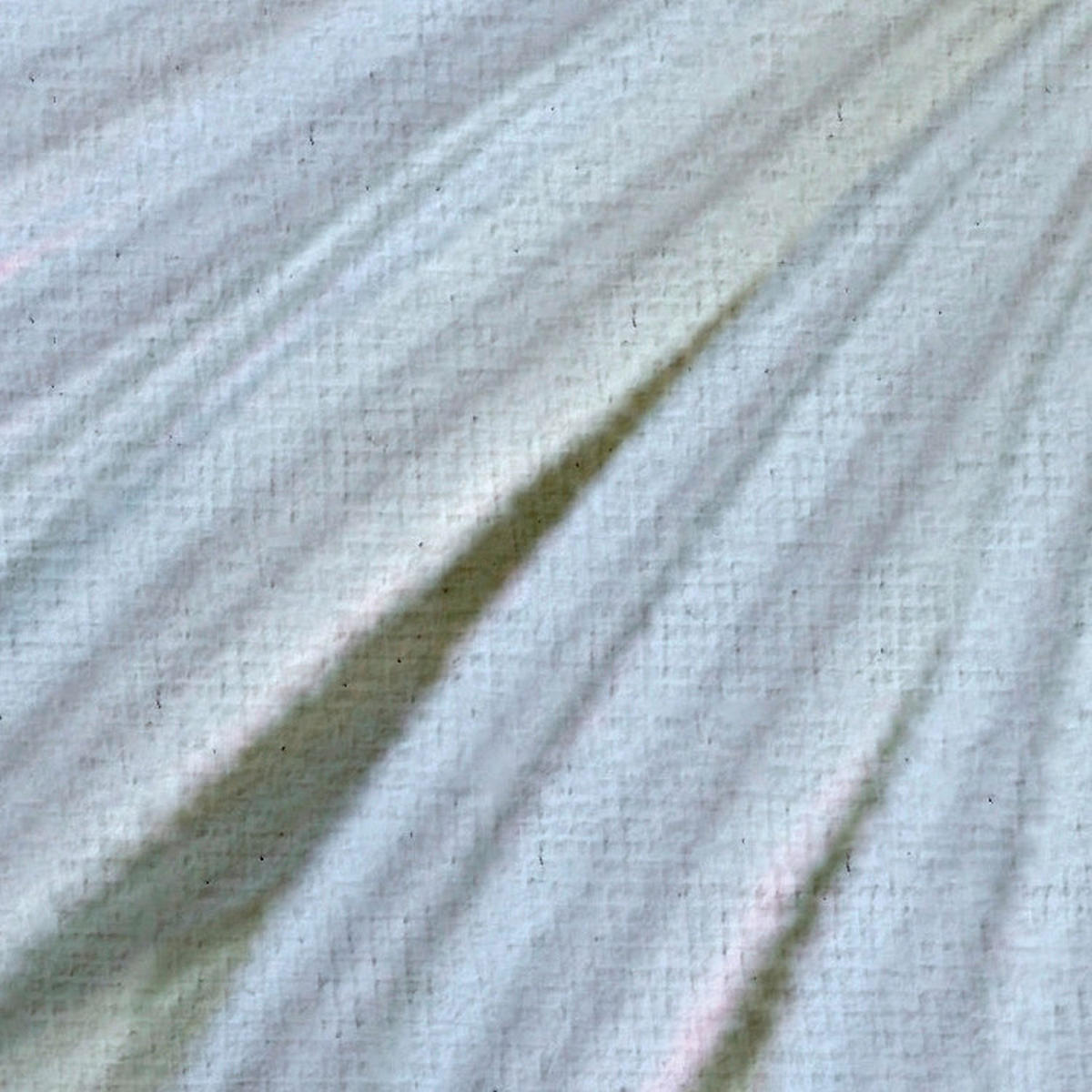 Komar Fototapete Vague Botany B/L: ca. 200x250 cm Vague Botany - (200,00/250,00cm) - Komar