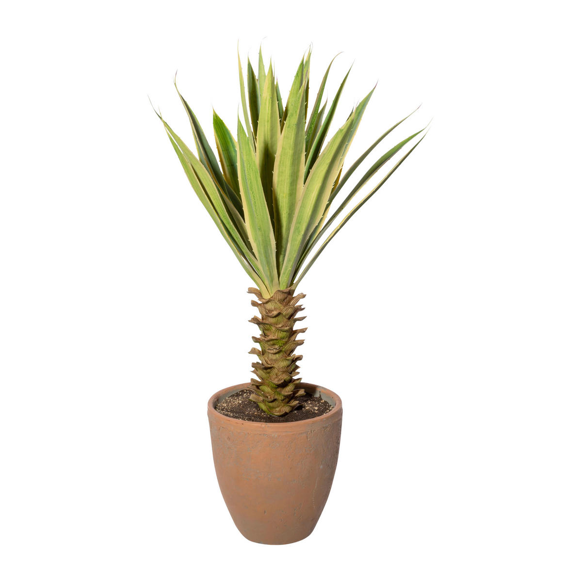 Kunstpflanze Yucca grün Kunststoff B/H/L: ca. 22x81x22 cm Yucca - creme/grün (22,00/22,00/81,00cm)