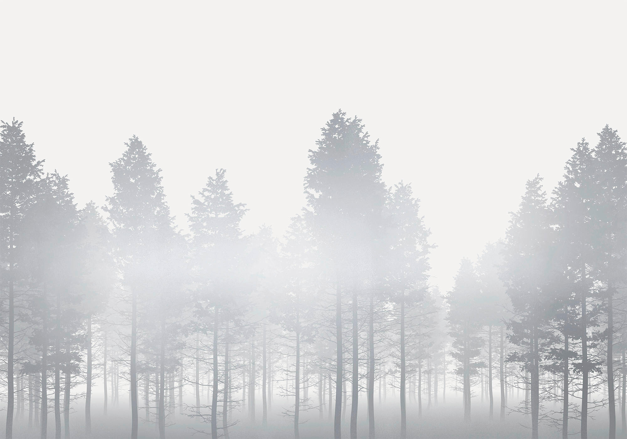 Komar Fototapete Silver Haze B/L: ca. 400x280 cm Silver Haze - (400,00/280,00cm) - Komar