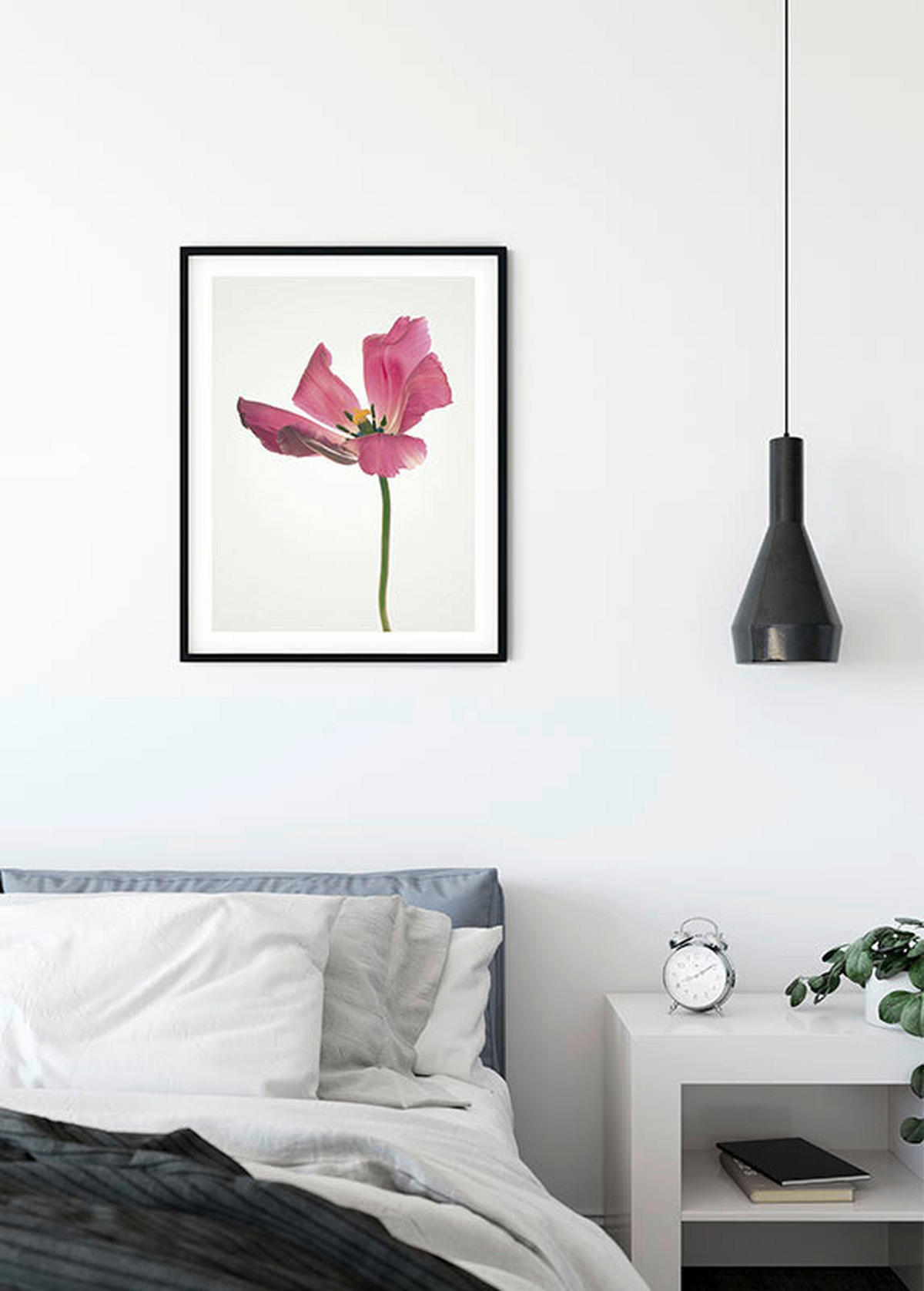 Komar Poster Tulip Tulpe B/L: ca. 40x50 cm Tulip - (40,00/50,00cm) - Komar