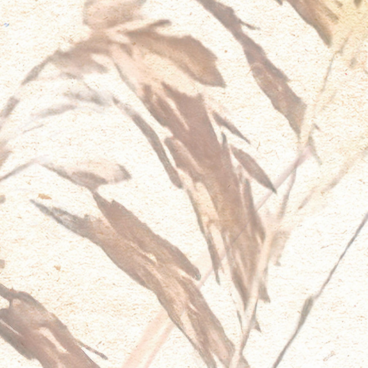 Komar Fototapete Dune Grass B/L: ca. 400x250 cm Dune Grass - (400,00/250,00cm) - Komar