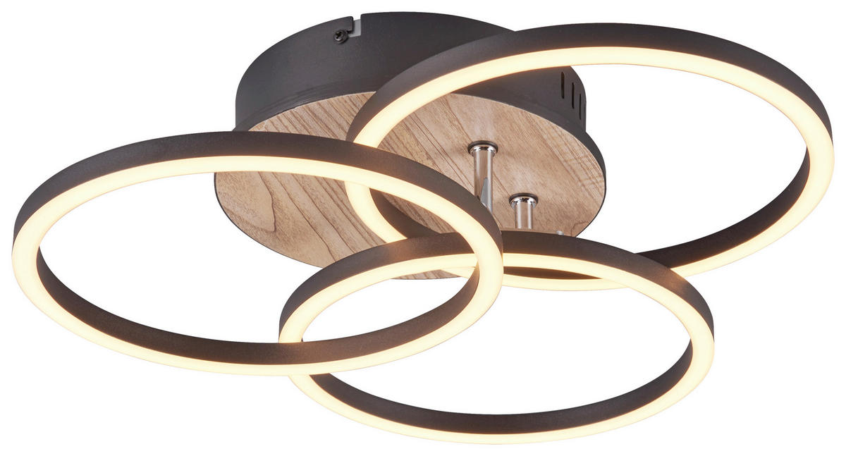 Reality LED-Deckenleuchte R62823135 Circle schwarz MDF Acryl Metall B/H: ca. 43x9 cm 1 Brennstellen Circle - schwarz (43,00/9,00cm) - Reality