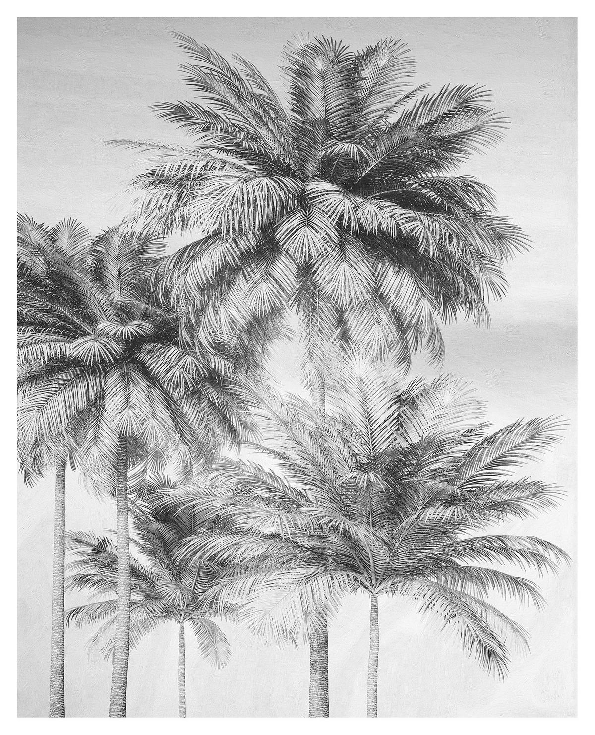 Komar Fototapete Cocco Palmen B/L: ca. 200x250 cm ▷ online bei POCO kaufen