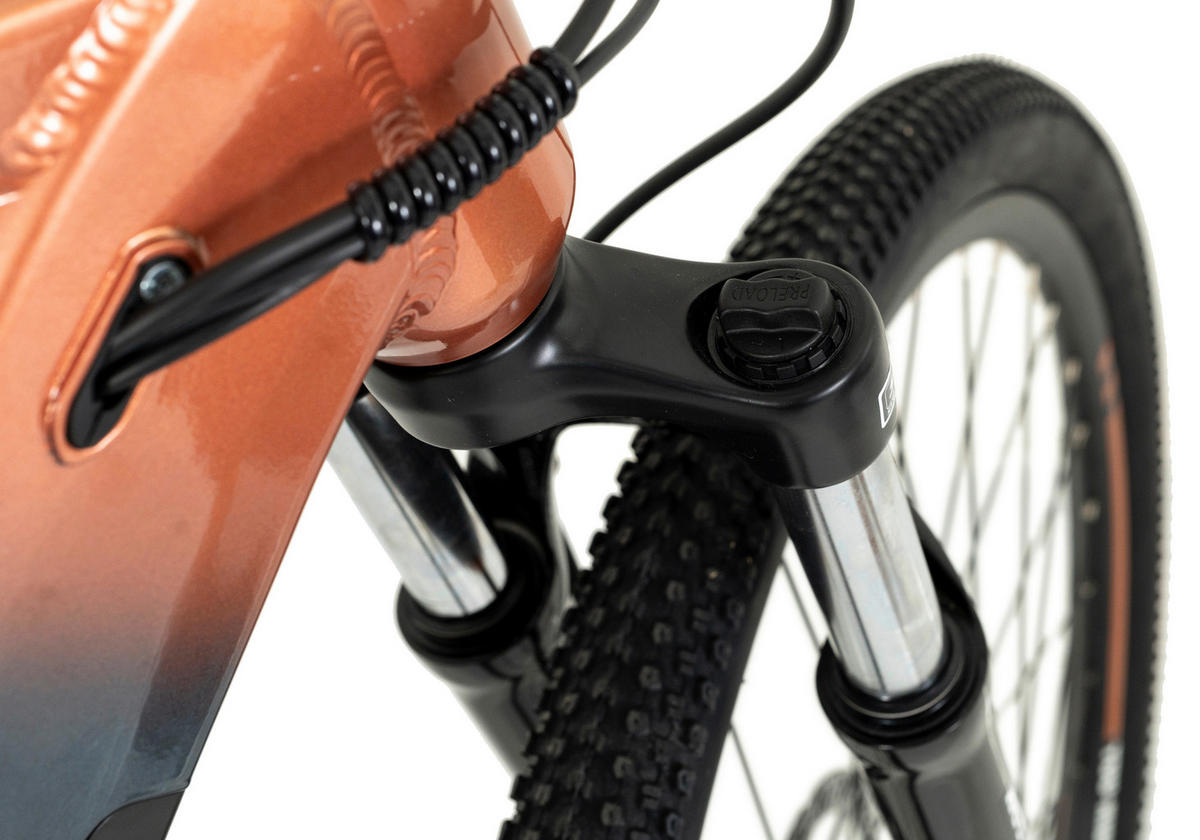 TOTEM E-Bike FJ-M FJ-M 29 Zoll Rahmenhöhe 46 cm 8 Gänge grau grau ca. 250 W ca. 29 Zoll FJ-M - grau - TOTEM