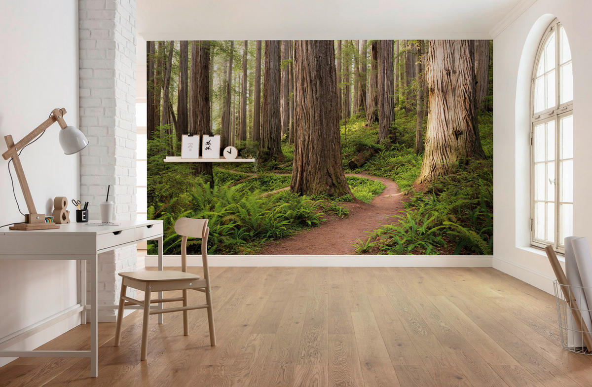 Komar Fototapete Redwood Trail B/L: ca. 450x280 cm Redwood Trail - (450,00/280,00cm) - Komar