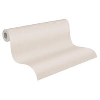 A.S.Creation Vliestapete Terra Uni beige B/L: ca. 53x1005 cm Terra - beige (53,00/1005,00cm) - A.S.Creation