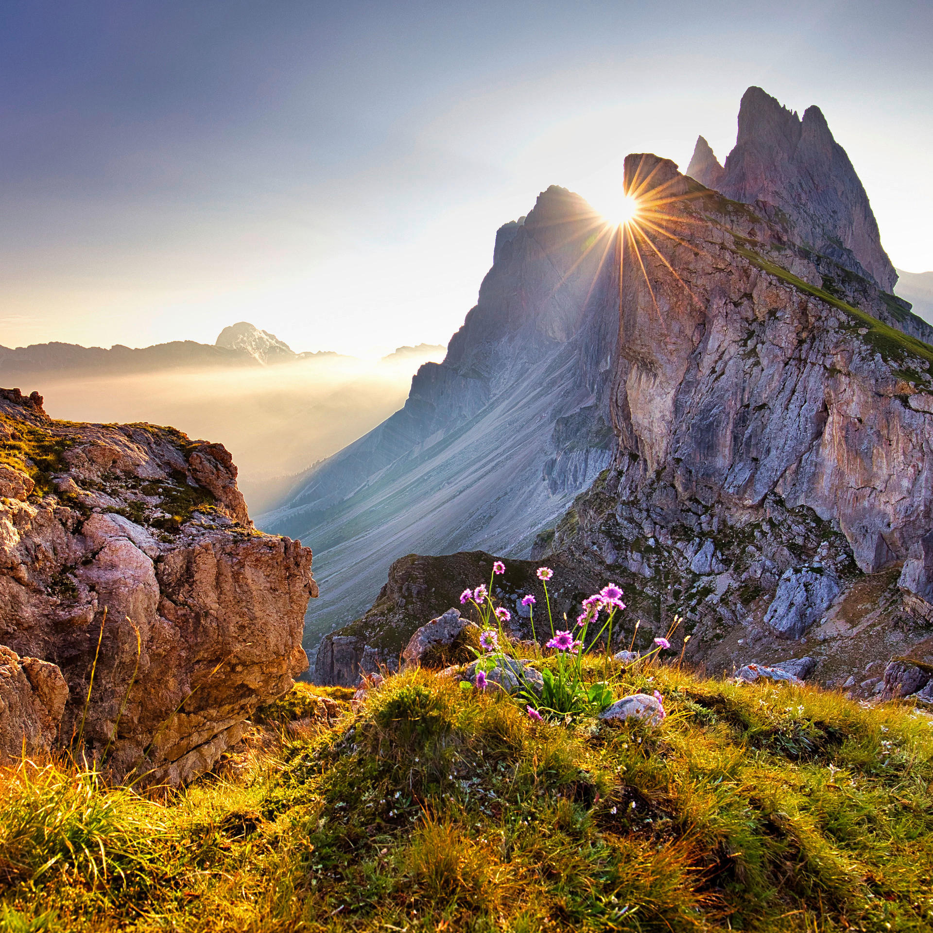 Keilrahmenbild Keilrahmenbild 35x35cm - (35,00/35,00cm)