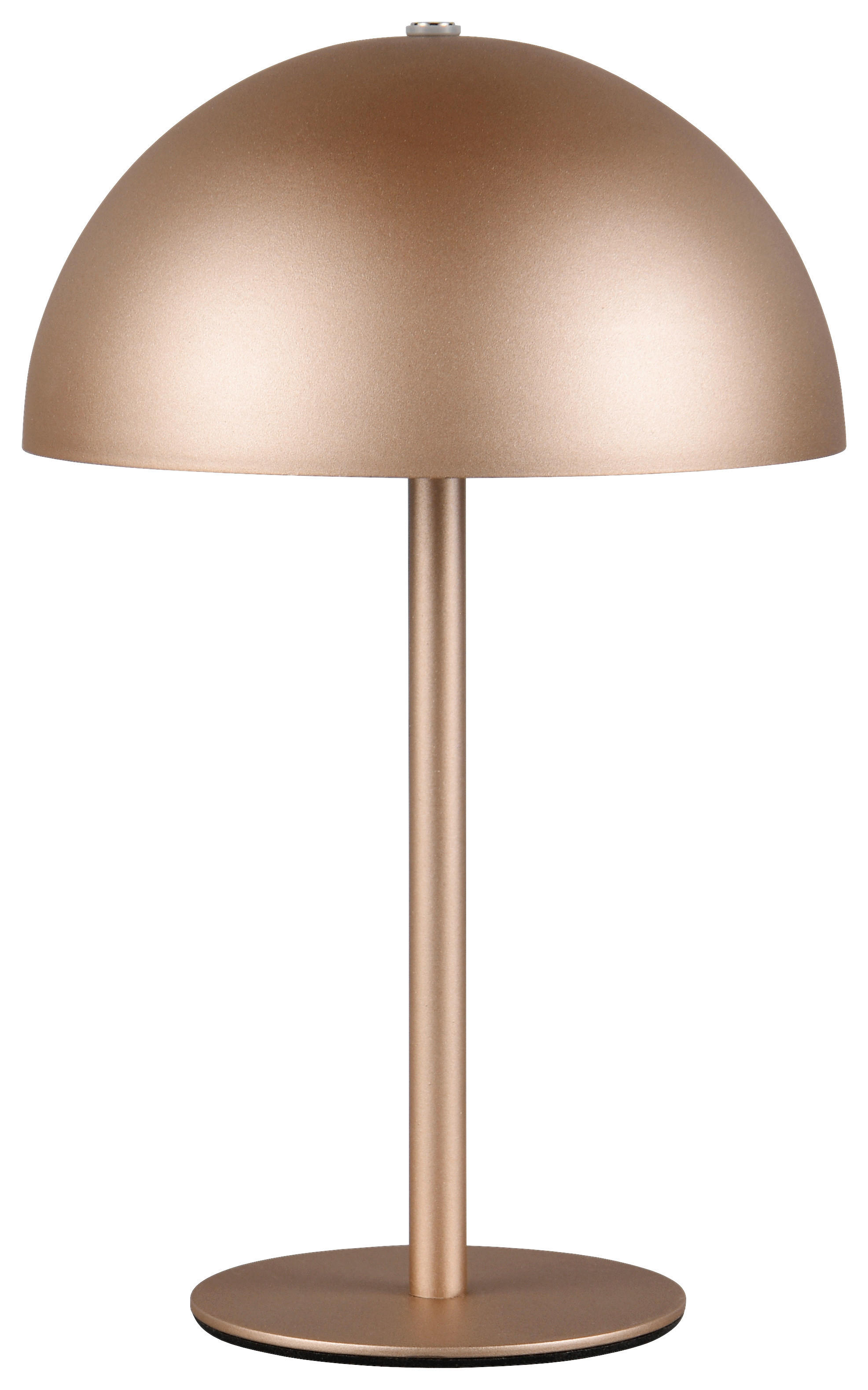 Reality LED Tischleuchte MUNOZ kaffee Metall H: ca. 21 cm 1 Brennstellen Munoz - kaffee (21,00cm) - Reality