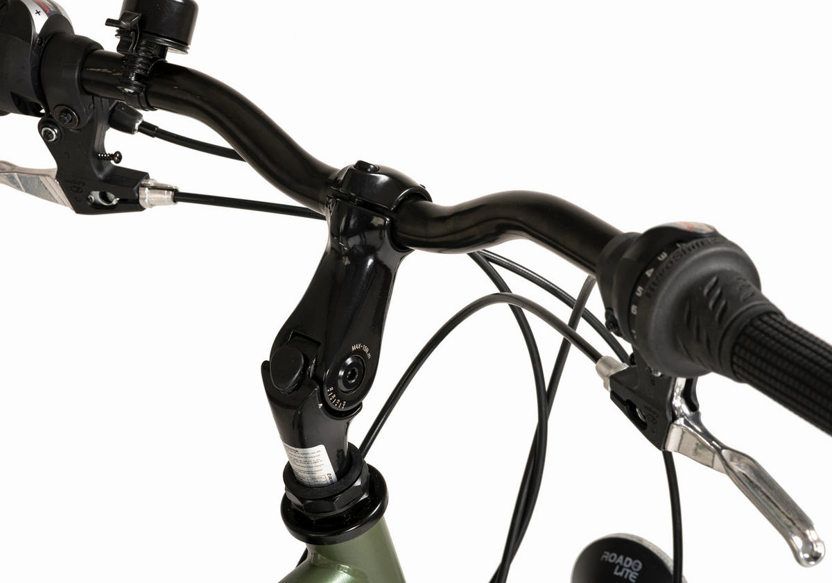 DaCapo Trekking-Bike Montreal MONTREAL 28 Zoll Rahmenhöhe 58 cm 21 Gänge grün grün ca. 28 Zoll Montreal - grün - DaCapo