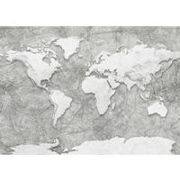 Komar Fototapete World Relief B/L: ca. 350x250 cm World Relief - (350,00/250,00cm) - Komar
