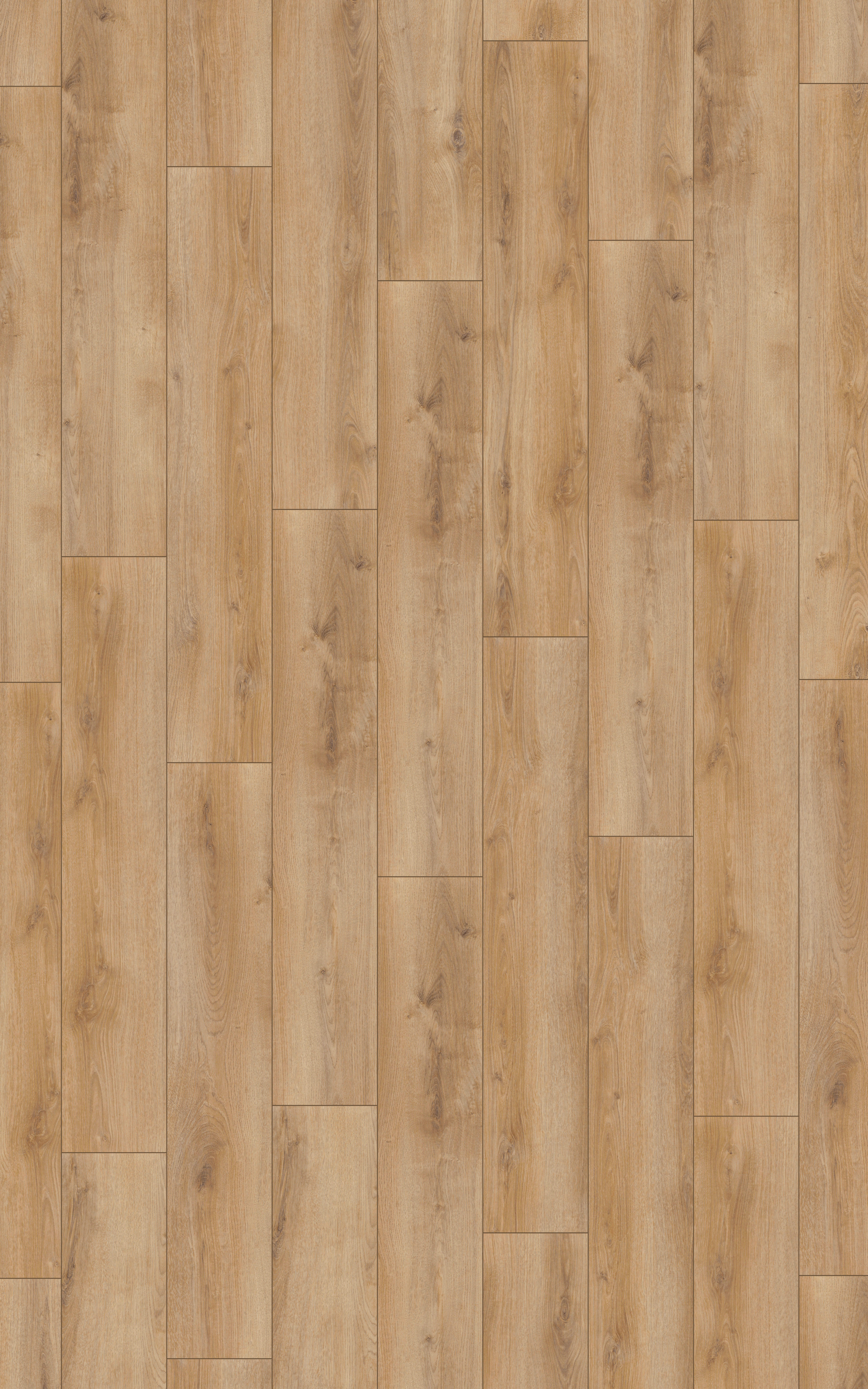 Superior Laminatboden Advanced Plus ca. 2,694 m² im Paket  B/L: ca. 24,4x138 cm pro Paket Advanced Plus ca. 2,694 m² im Paket - natur (24,40/138,00cm) - Superior
