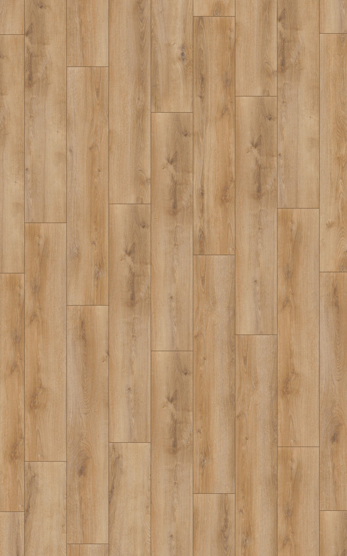 Superior Laminatboden Advanced Plus ca. 2,694 m² im Paket  B/L: ca. 24,4x138 cm pro Paket Advanced Plus ca. 2,694 m² im Paket - natur (24,40/138,00cm) - Superior