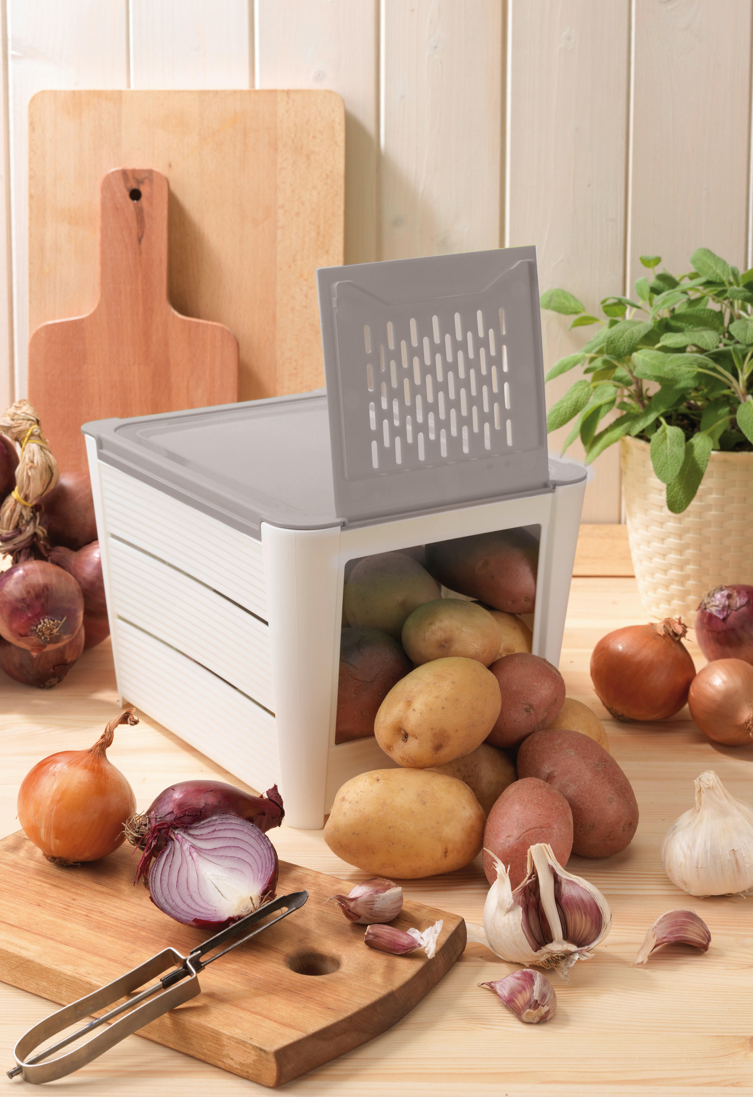 Kartoffelbox weiß Kartoffelbox - weiß/grau