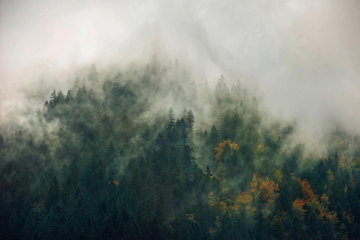 Komar Fototapete Tales of the Carpathians B/L: ca. 300x200 cm Tales of the Carpathians - (300,00/200,00cm) - Komar